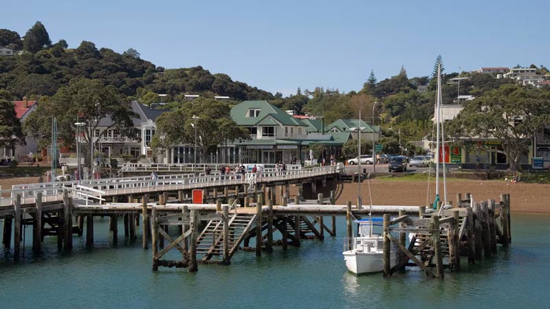 Invasive caulerpa threatens $9.4b hit, spreads to Russell, Bay of Islands Image