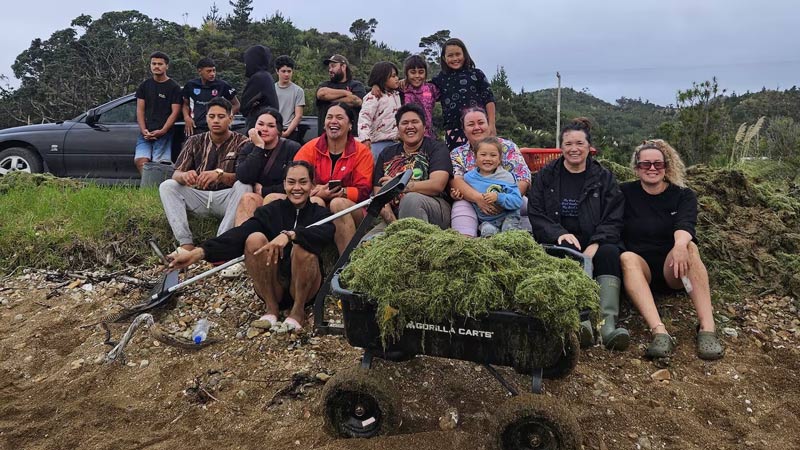 Hundreds volunteer to move invasive caulerpa marine weed from Bay of Islands cove Image